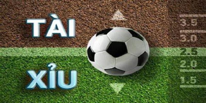 Đọc kèo tài xỉu đúng để đưa ra ô cửa cược